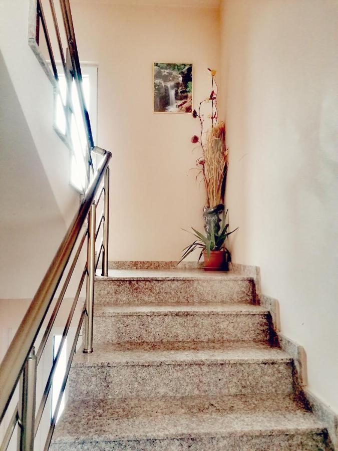 ספרבה בניה Apartment Daiv מראה חיצוני תמונה