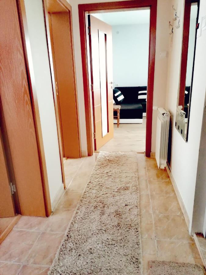 ספרבה בניה Apartment Daiv מראה חיצוני תמונה